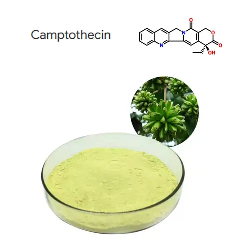 Visoka čistoća 98% kamptothecin biljni ekstrakt prah CAS 7689-03-4